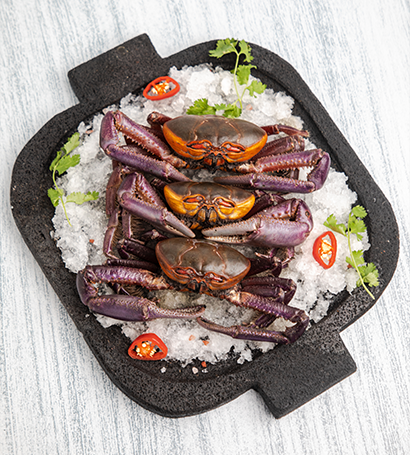 Food Image